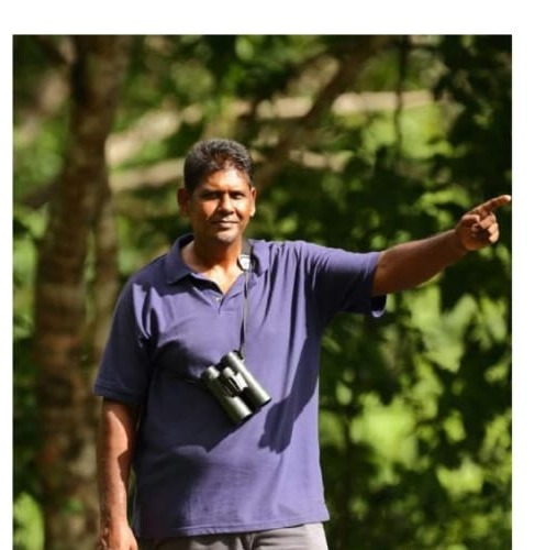 Lester Nanan guiding in the forest with binoculars